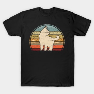 Cat Sunset T-Shirt